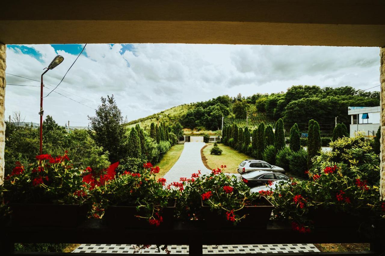 Pensiunea Romana Guest house 3*
